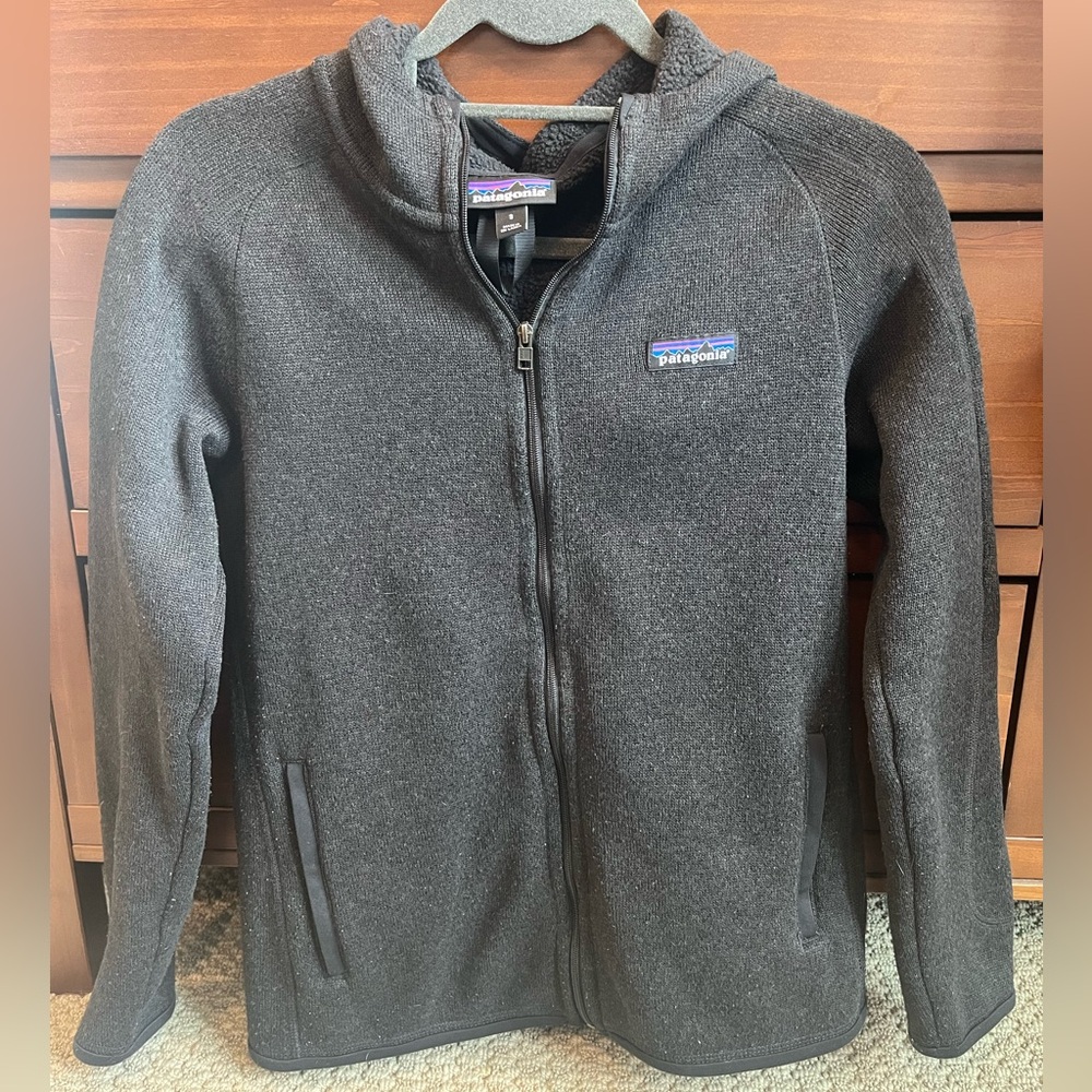 Patagonia Better Sweater Hoodie